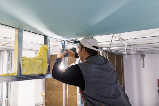 Insulation Repair Services in Duluth, GA
